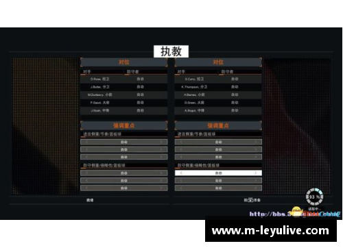 NBA球队战绩分析与战术探讨