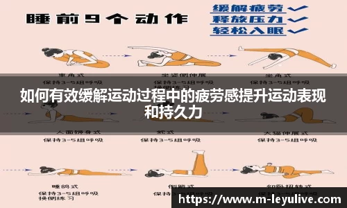 乐鱼真人app