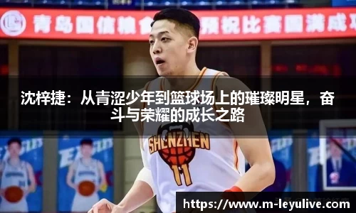 乐鱼真人